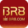 Logo da BR8